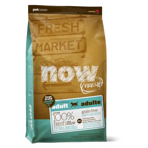 Now Fresh Dog Adult Large Breed 11,34kg Abimé