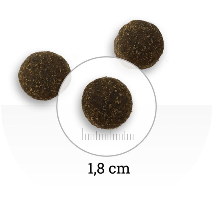 NATURA WILD North Country Volaille Canard & Dinde 12 kg