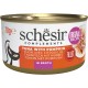 Schesir Chat Thon avec Citrouille avec bouillon 70 gr