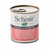 Schesir Chien Poulet avec Carottes 285 gr