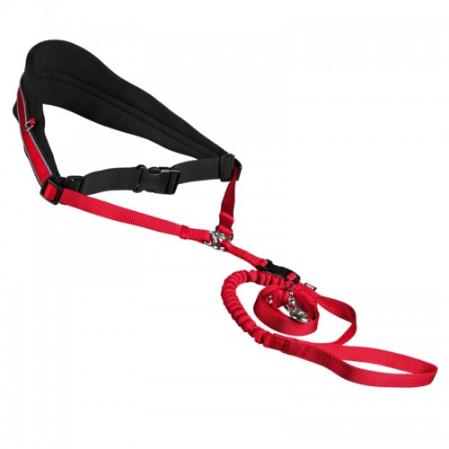 Ceinture ventrale avec laisse rouge