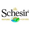 Schesir