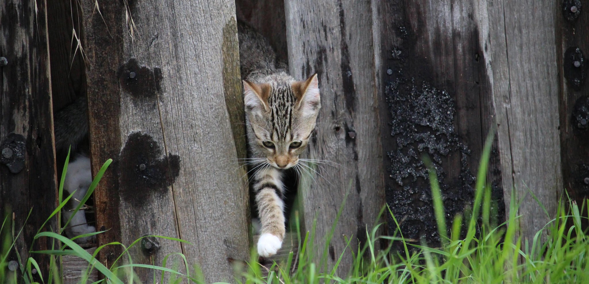 chat-103
