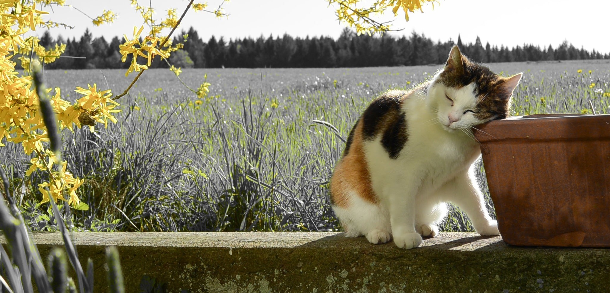 chat-103