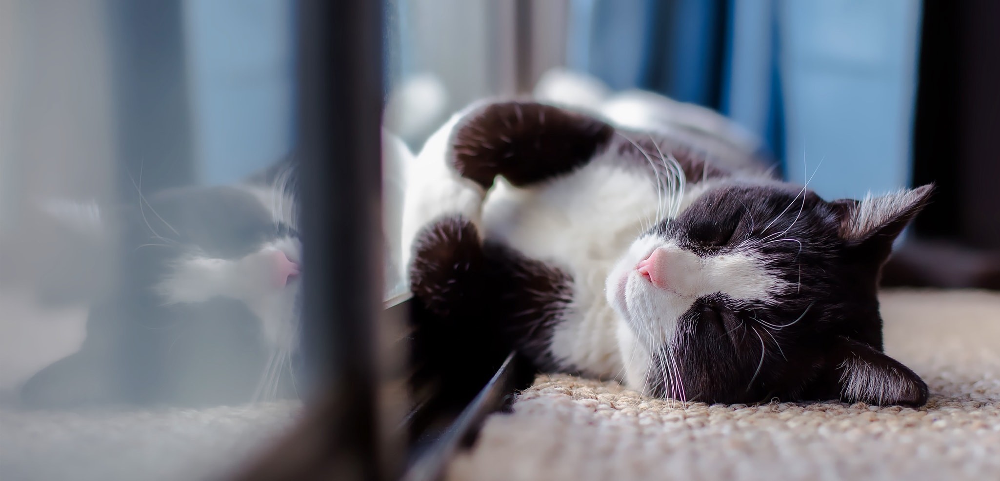 chat-103