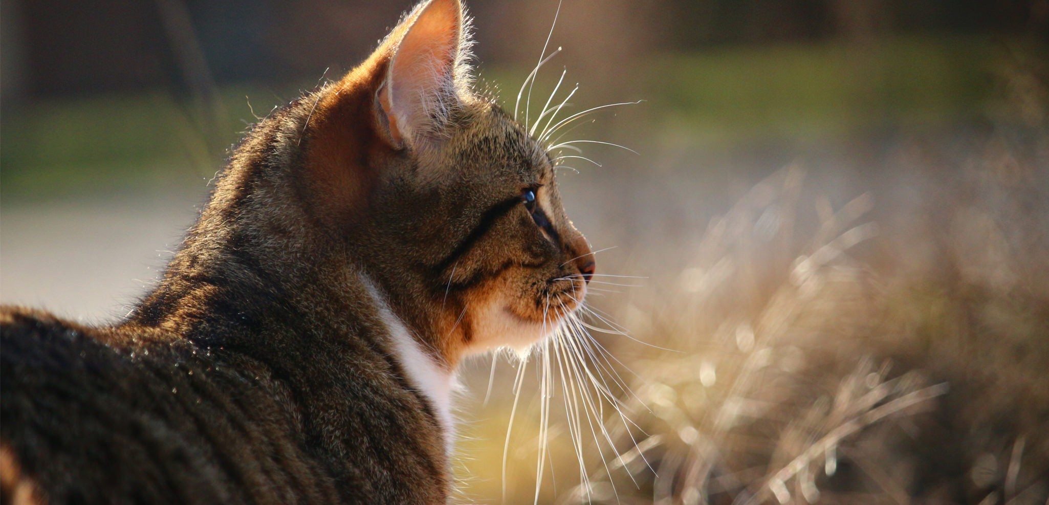 chat-89